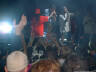 Click for larger image.